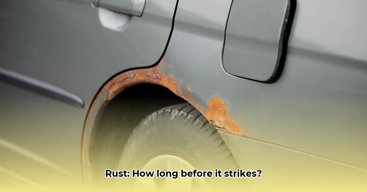 how-long-does-it-take-for-rust-to-form